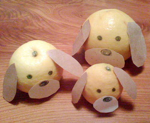 Hyuganatsu Beagle Family
