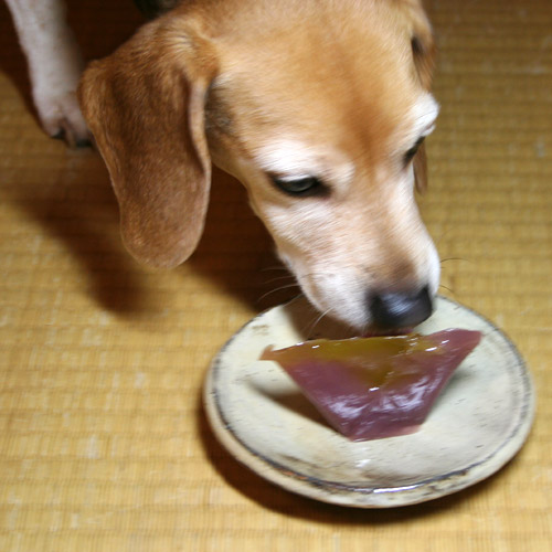 Cheri Eats Kogetsu Wagashi