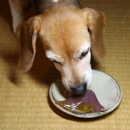Cheri Eats Kogetsu Wagashi