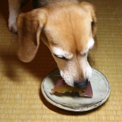 Cheri Eats Kogetsu Wagashi