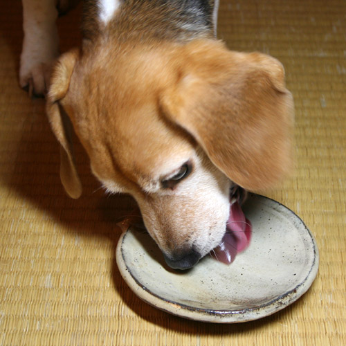 Cheri Eats Kogetsu Wagashi
