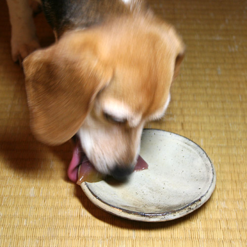 Cheri Eats Kogetsu Wagashi