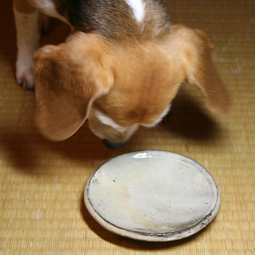 Cheri Eats Kogetsu Wagashi